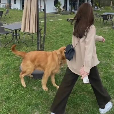 阿珠与阿花前传